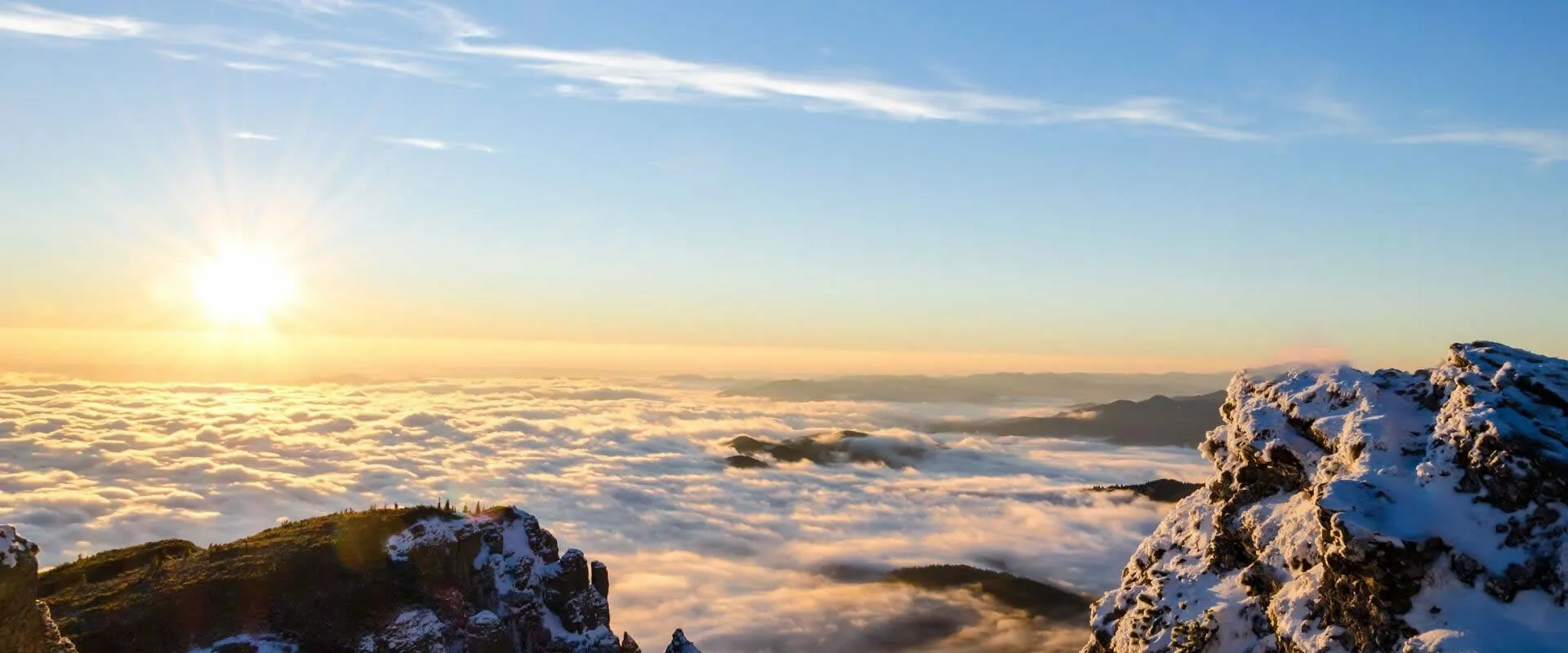 Well-rounded experience in sales and manufacturing operations 